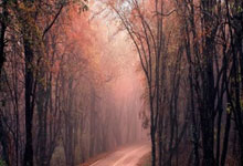 姆巴耶：本赛季五大联赛第二&巴黎队史第三年轻进球者.