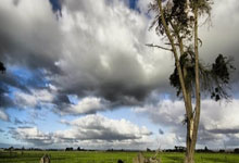 岁月催人变老，我与时间赛跑！春锦赛达标，孙杨期待再战全运.